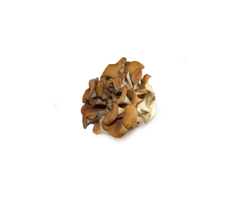 What Makes Maitake Mushrooms Good For The Skin?