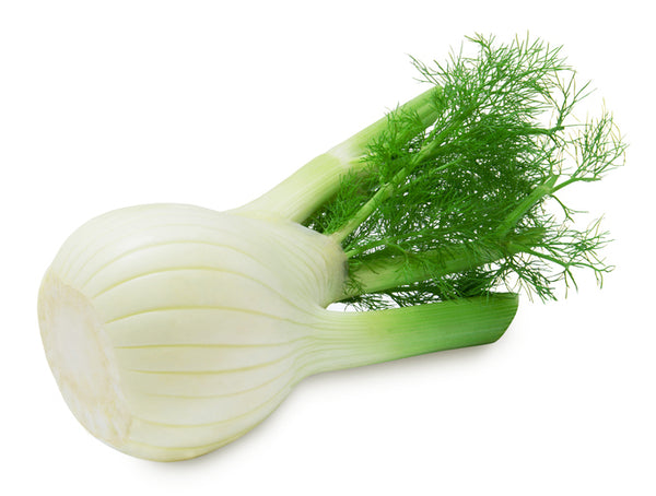 Fennel's Positive Effects on the Body