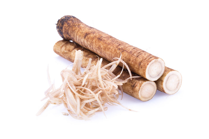 Benefits of Burdock Root